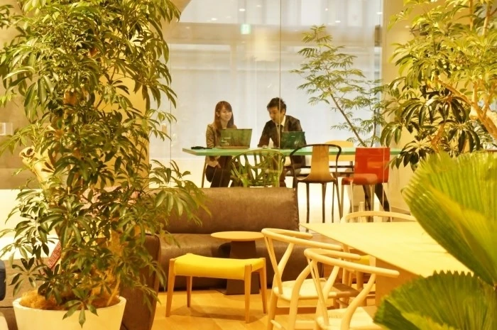 ■移転後のヴィス