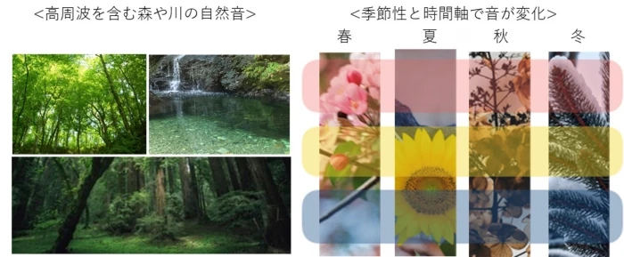 森林力の居心地のよさのメカニズム=“超高周波”