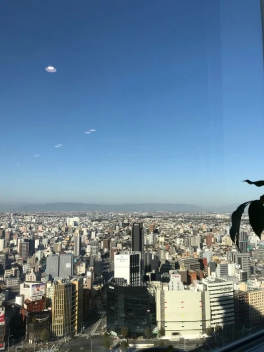 4）創造性と生産性