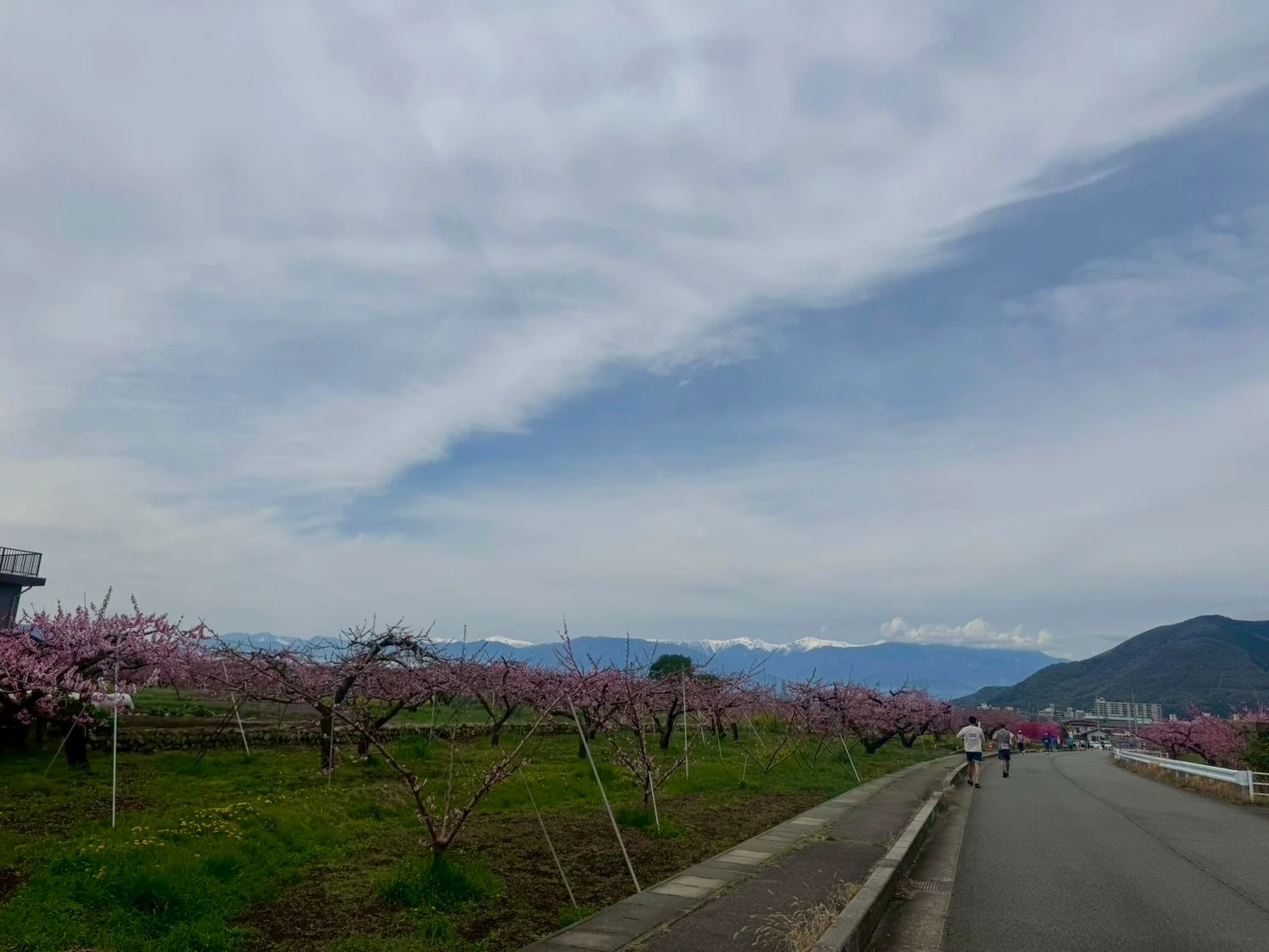 レース後半 ～「がんばれ！」の心強さ～