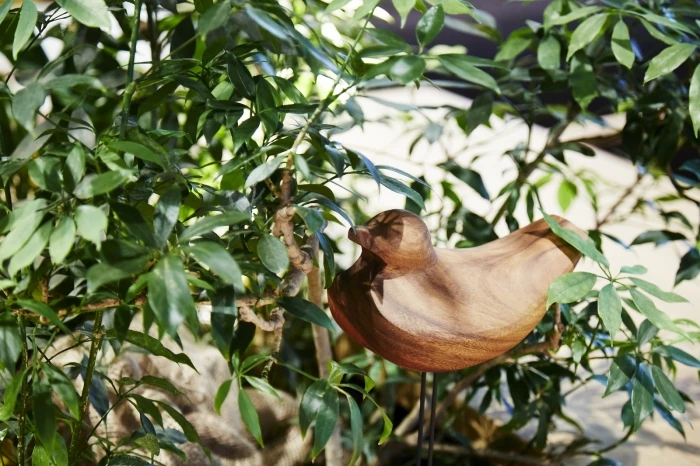 移転案内はいつ送るの？