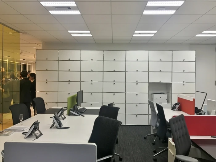 まずはHaller System（ハラーシステム）