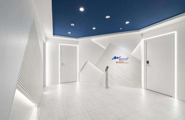 株式会社メディカルプラス