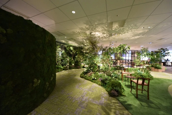 入った瞬間から癒される「日本の森」