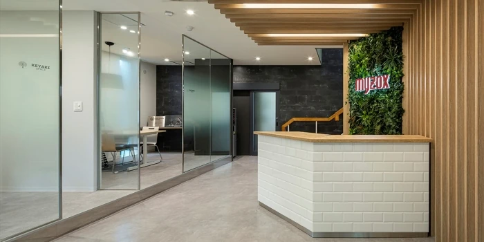 株式会社マイゾックス