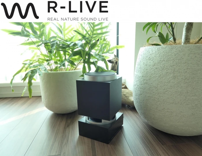 豊かなハイレゾ・クオリティの自然音が空間を包み込み、 都会にいながら森林浴と同じ居心地のよさを再現