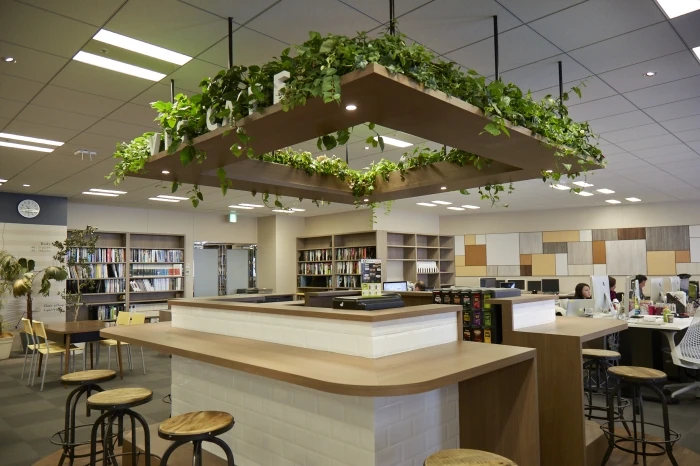 天井から”吊るグリーン”