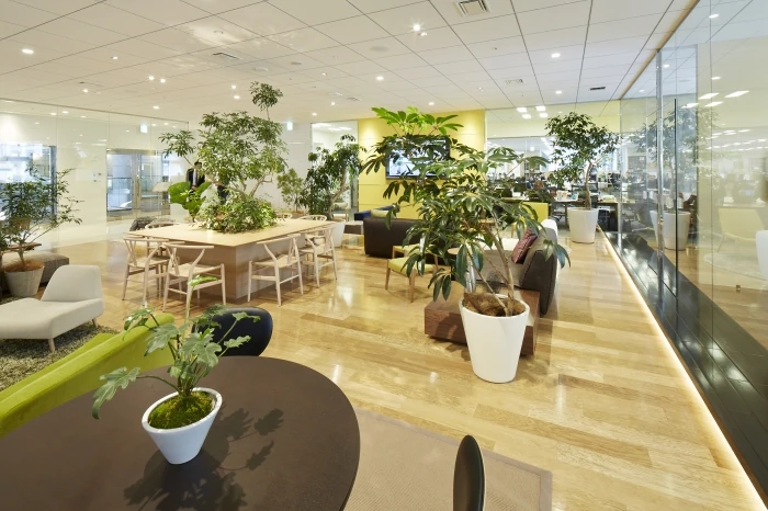 一番簡単！”鉢植えグリーン”を置いてみる