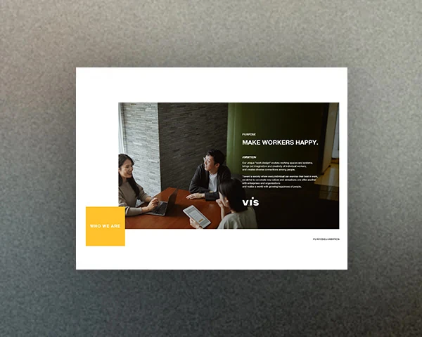 株式会社ヴィス 会社案内（英語版）