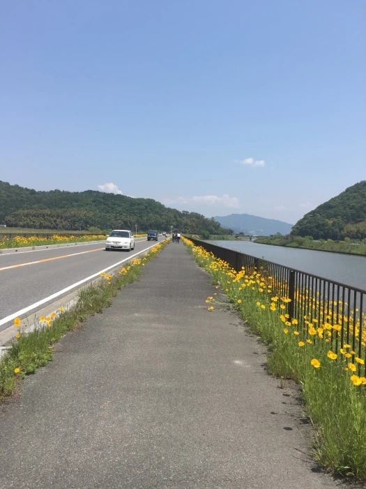 14:00　第8チェックポイント到着／滋賀県彦根湖岸沿い　