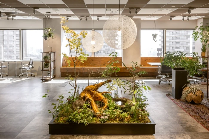 株式会社パラドックス